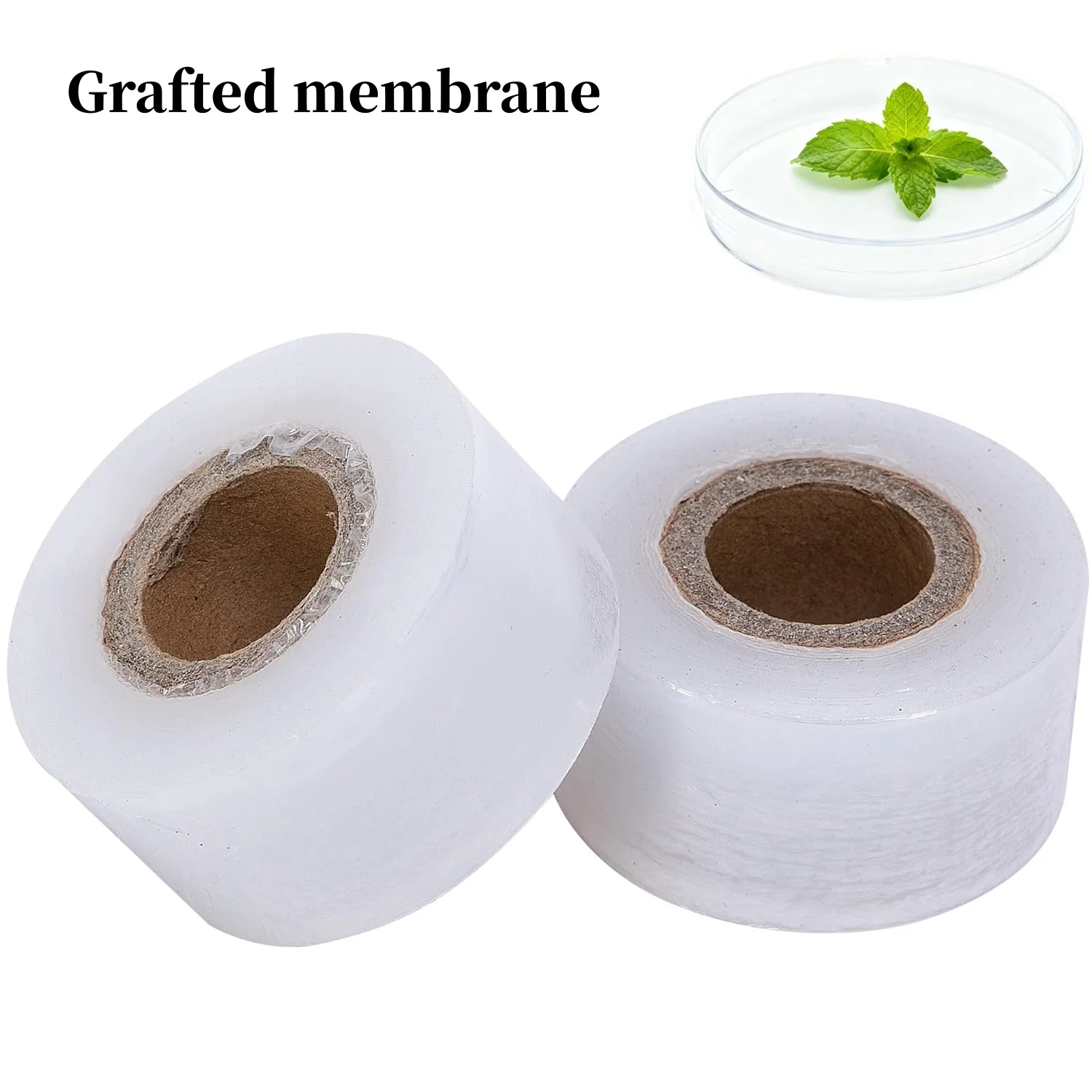 Transparent culture dish film, moisture-proof laboratory sealing film, suitable for grafting on culture dishes and nurseries