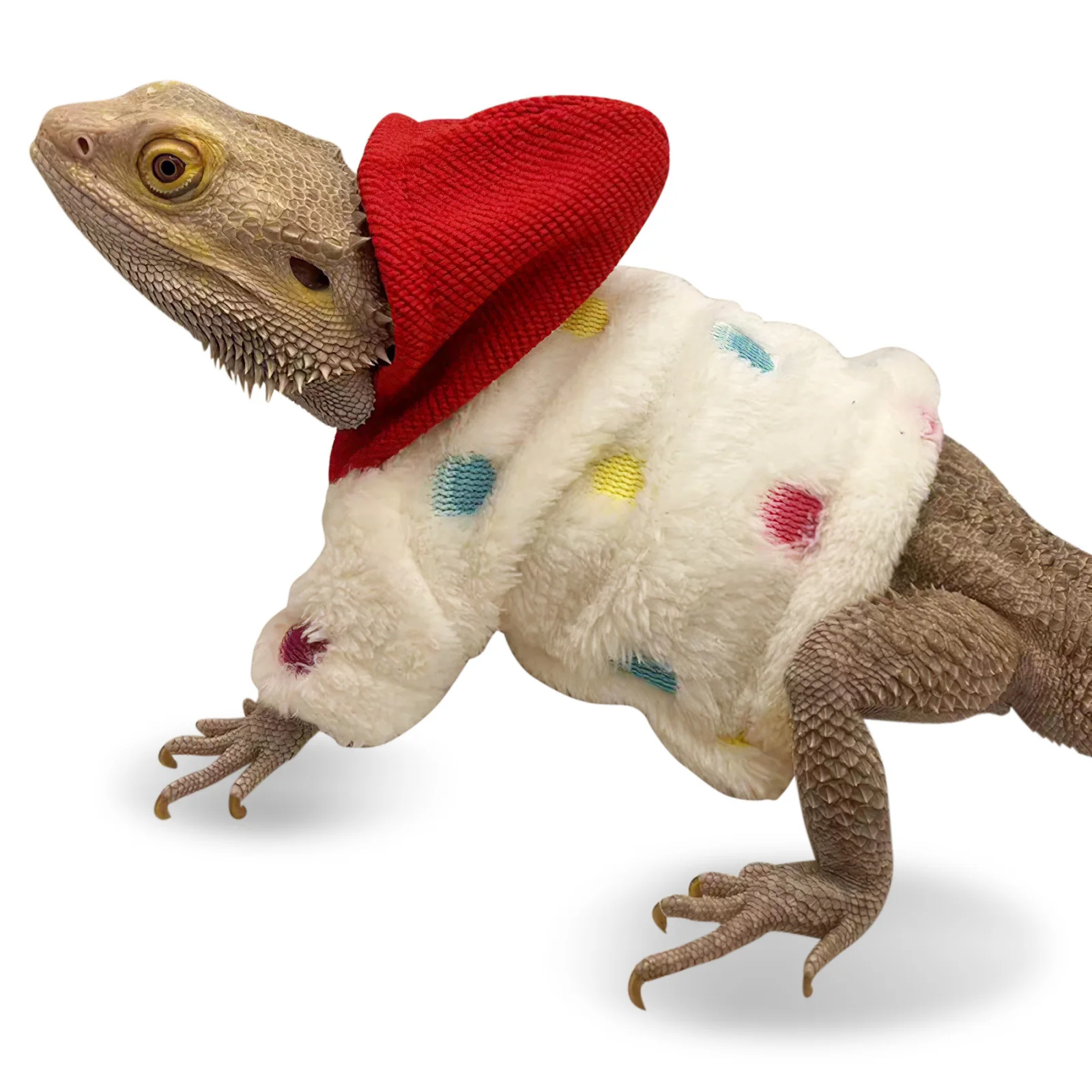 

Adjustable Gecko Costume for Small Pets Breathable Lizard Clothing Outdoor Party Wear Reptile Hoodies Bearded Dragon Fashion