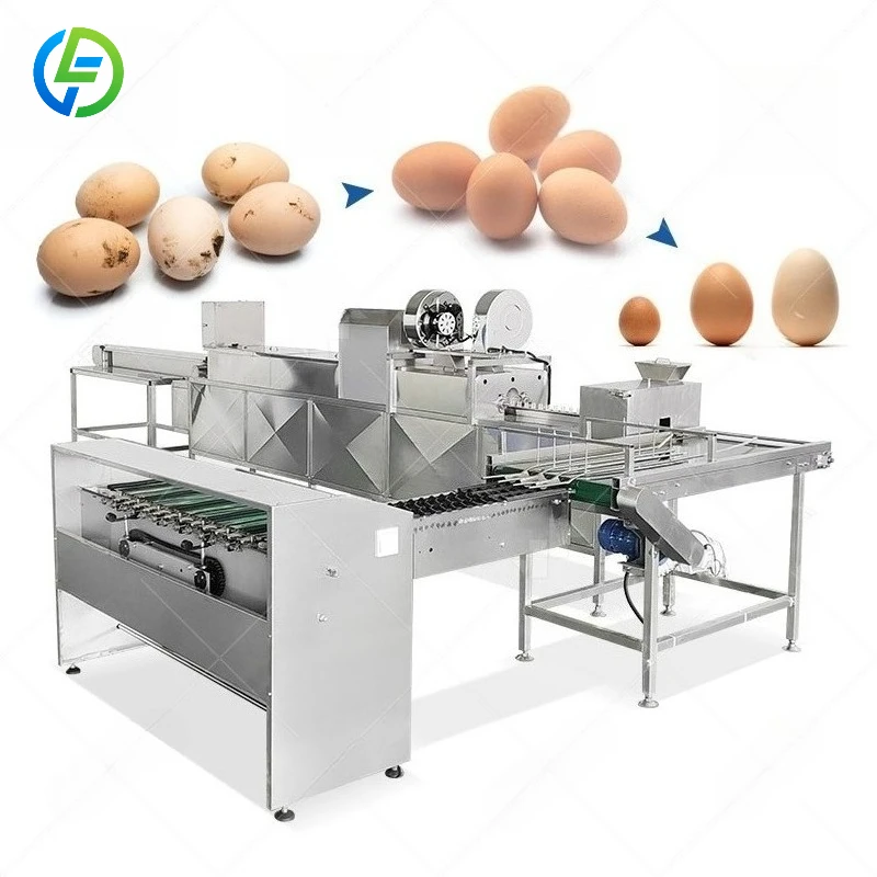 Customized Roller Conveyor Egg Washing Machine Industrial Full Continuous Egg Washing Line for Egg Packing Workshop
