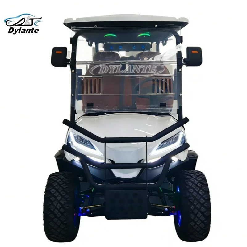 60v 72V Electric Golf Cart 2 Seater Lithium 5KW 6KW AC Motor Steering Wheel Adjustable Off Road Golf Cart Hunting Golf Buggy