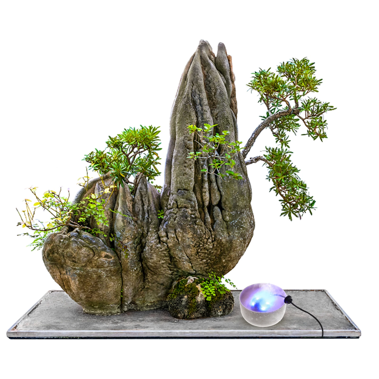 

LED Light Mist Maker Atomizing Sprayer for Fish Tank Rockery Garden Fountain Pond Bonsai Air Humidifier Cool Misting Us Plug