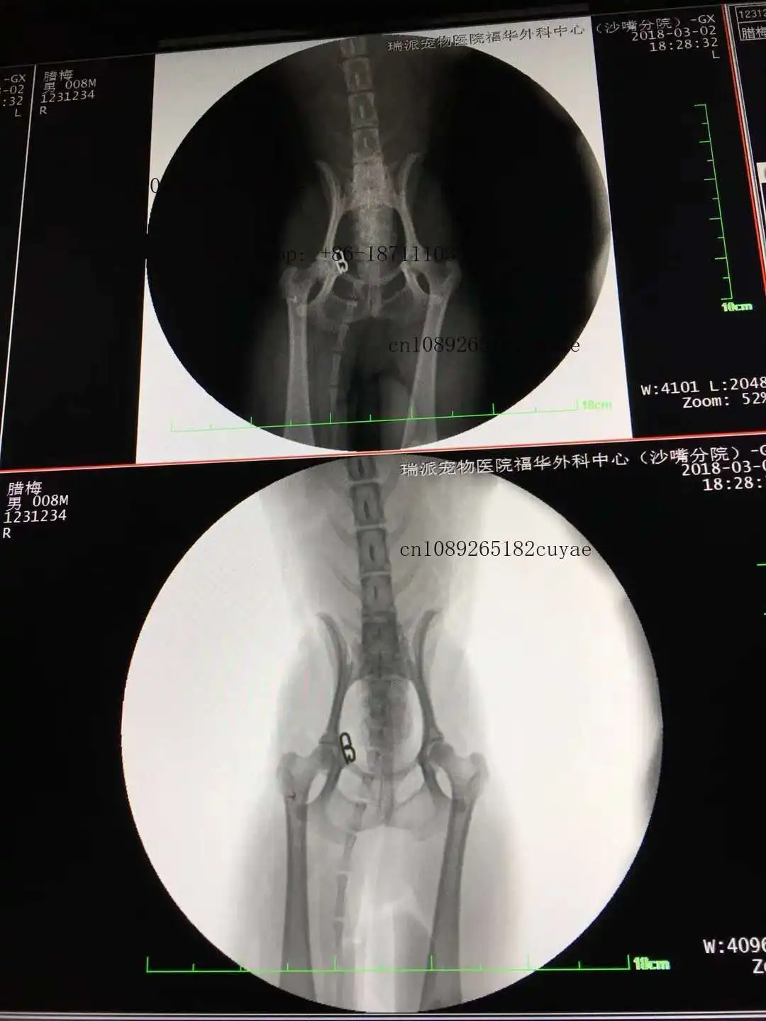 YSX-C112 VET Ysenmed Veterinary Xray Medical Mobile C Arm X-ray Machine High Frequency Mobile C-arm X Ray System