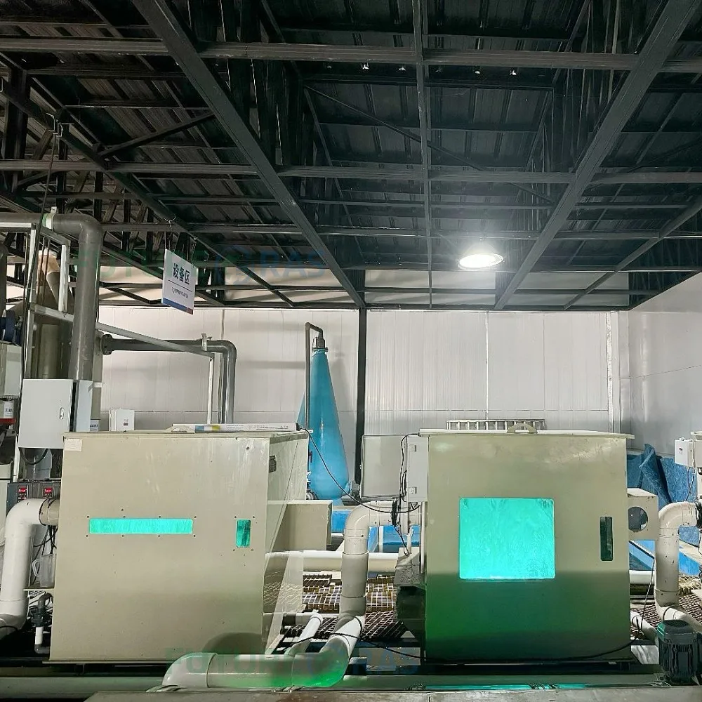 Small Ai Based Eco Ras Aquaculture System Design Industrial Trout Carp Closed System for Shrimp Fish Farming
