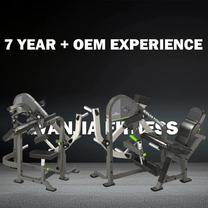 Premium Strength Training Solutions Gym Plate-Loaded Back Training Machine Extreme Row Machine for Fitness Facility