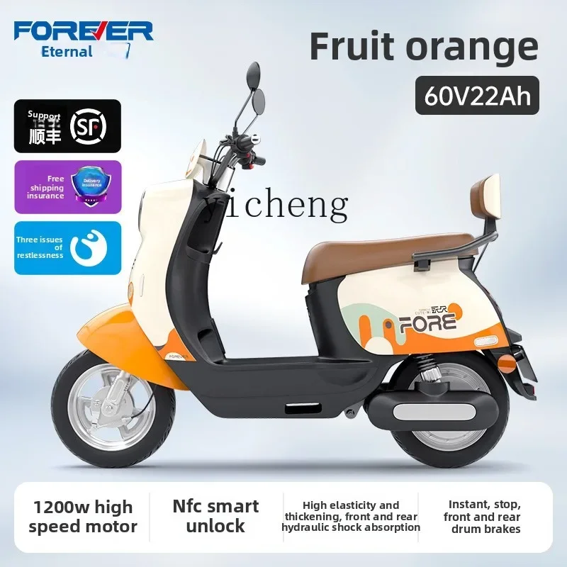 

TQH High Speed Electric Motorcycle Adult Two Wheels Modern Retro Wind Tram Rider Electric Vehicle Battery Car
