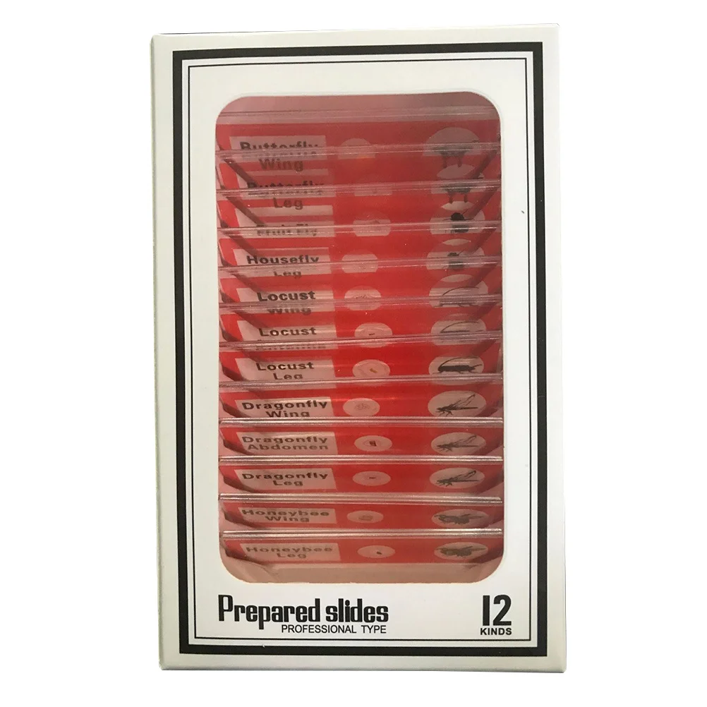 

12Pcs Microscope Slides Plastic Biological Specimen Set for Beginners Science Learning 's Sample
