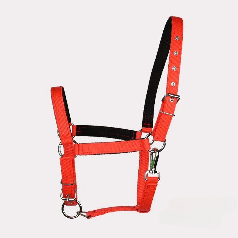 لوازم الفروسية غطاء رسن الحصان منتجات الفروسية رسن الرصاص لرائد الحصان والعناية اليومية