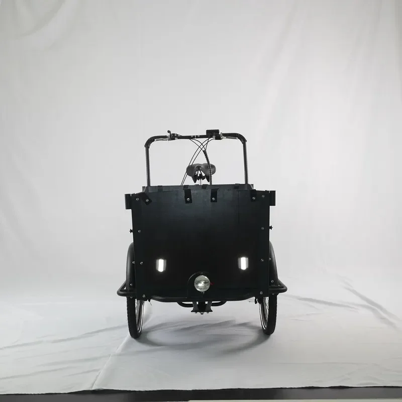 Hot Sale CE Certification3 Wheel Electric Cargo Bike/ Cargo Tricycle / Cargo Trike Front Box UB 9019E