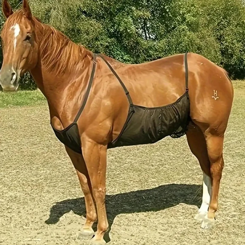 واقي للبطن من ورق ذبابة الحصان، خفيف الوزن لمستلزمات الحيوانات الأليفة، حزام شبكي قابل للتعديل لركوب الخيل، إعداد ثابت في الهواء الطلق