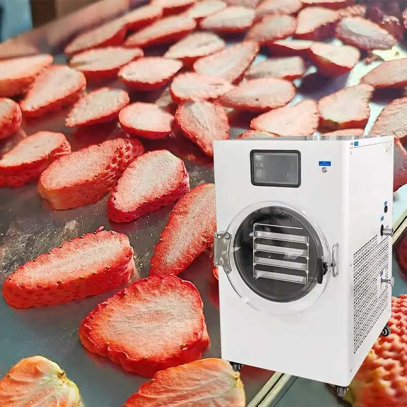 WiFi Remote Control Household HFD-5 Five Trays 5KG 7KG Small Compact Vacuum Sublimation Dryer Lyophilizer Freeze Drying Machine