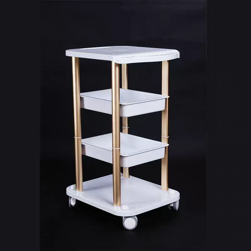 Living Room Side Table Stand Layer Small Mobile Rolling Cart Multi-functional Rack for Beauty Instruments Salon Furniture