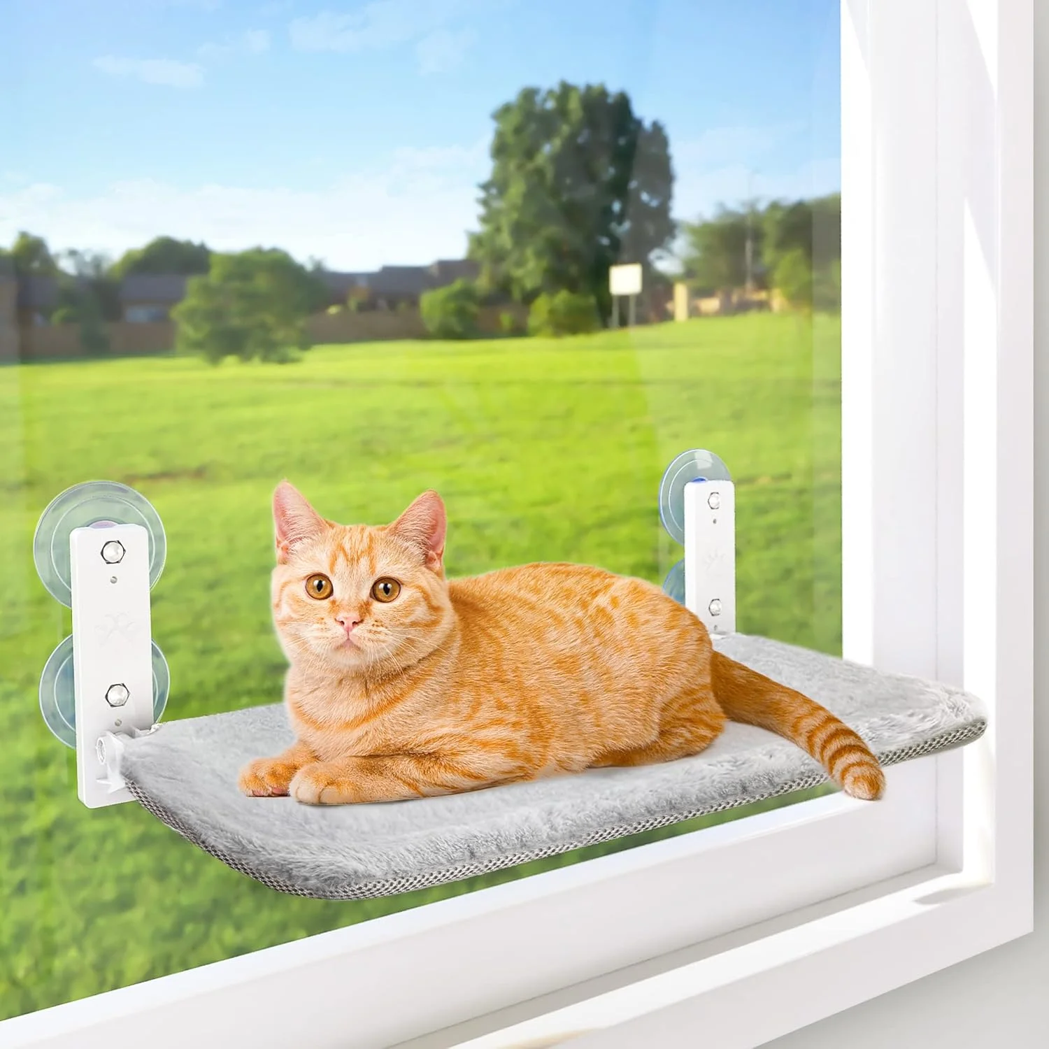 Cat Hammock for Wall with 4 Suction Cups, Anchor&Screw for Two Ways of Installation, Solid Metal Frame and Reversible Cover