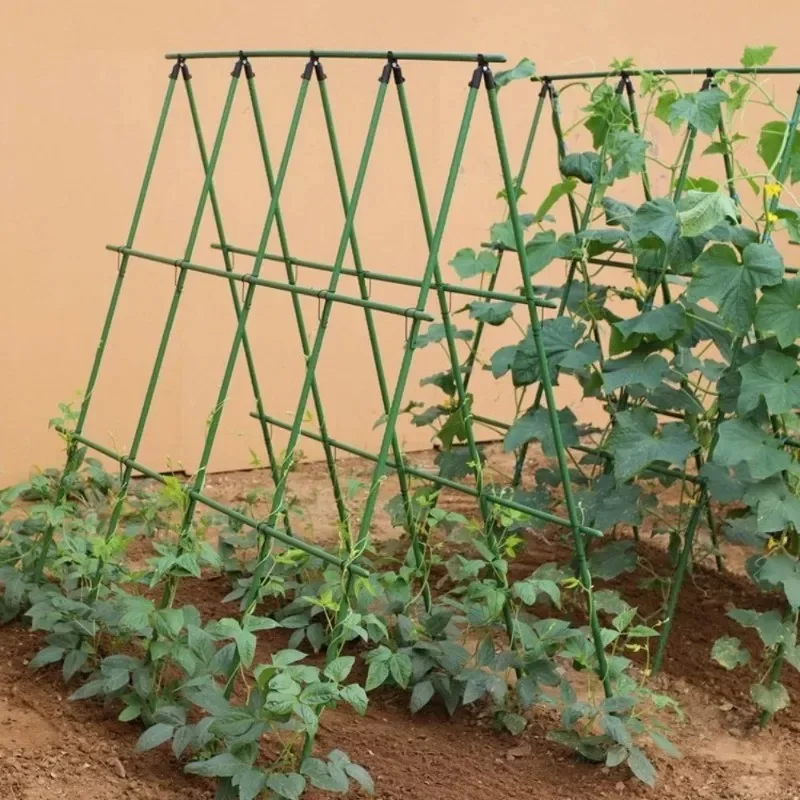 Postes de Soporte para Plantas 2026 - Postes de Acero Recubiertos de Plástico para Enredaderas, para Pepinos, Judías Verdes, Tomates y Trellises - Jardín