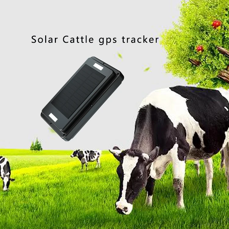 Pelacak GPS Tenaga Surya 4G 2G dengan Alarm Lepas, Pelacak GPS untuk Domba Sapi Ternak, Kalung GPS Tenaga Surya untuk Sapi