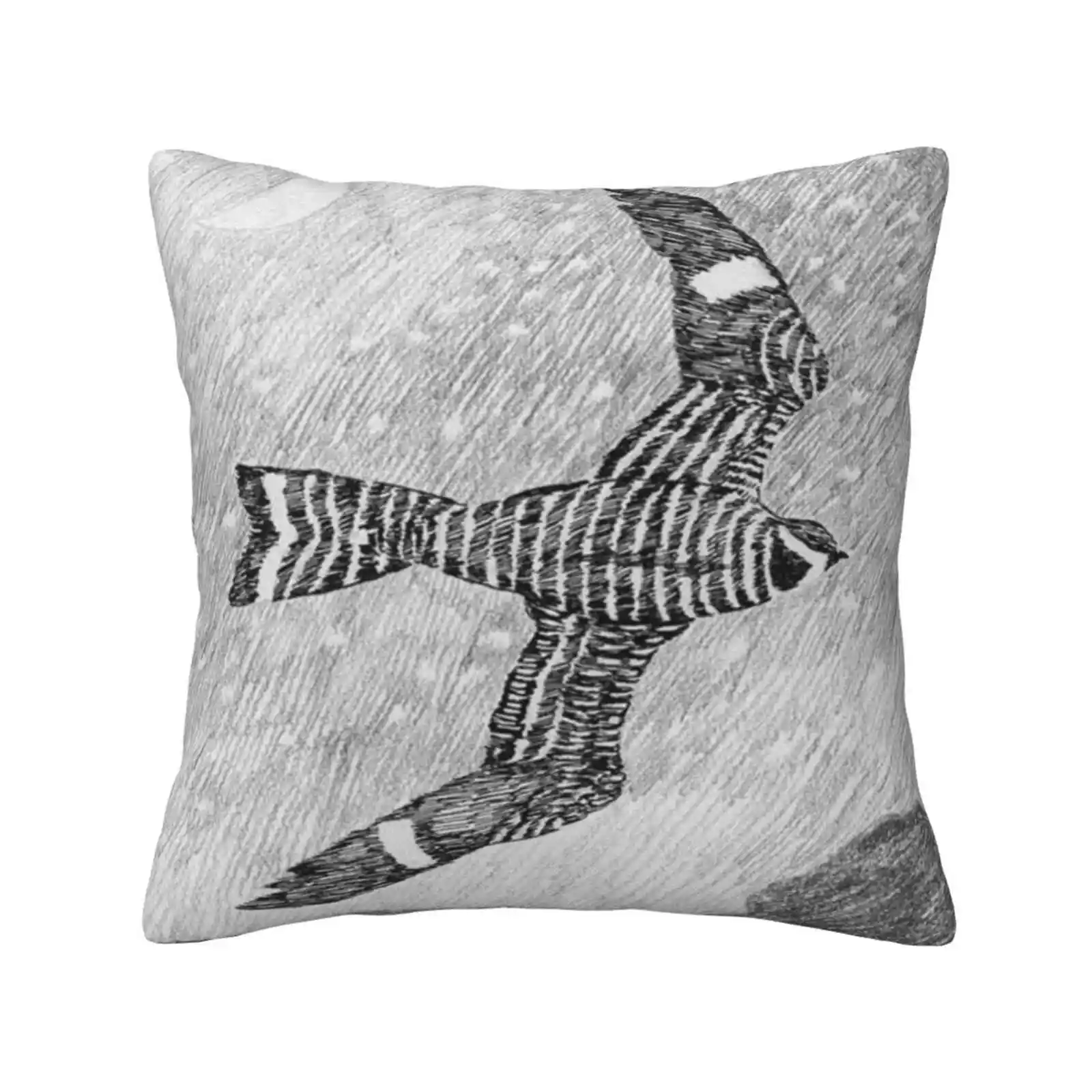 Nighthawk Throw Cushion Pillow Cover Handrawn Hand Drawn Pen Lisajanefunart Birds Wildlife Commonnighthawk Common Nighthawk