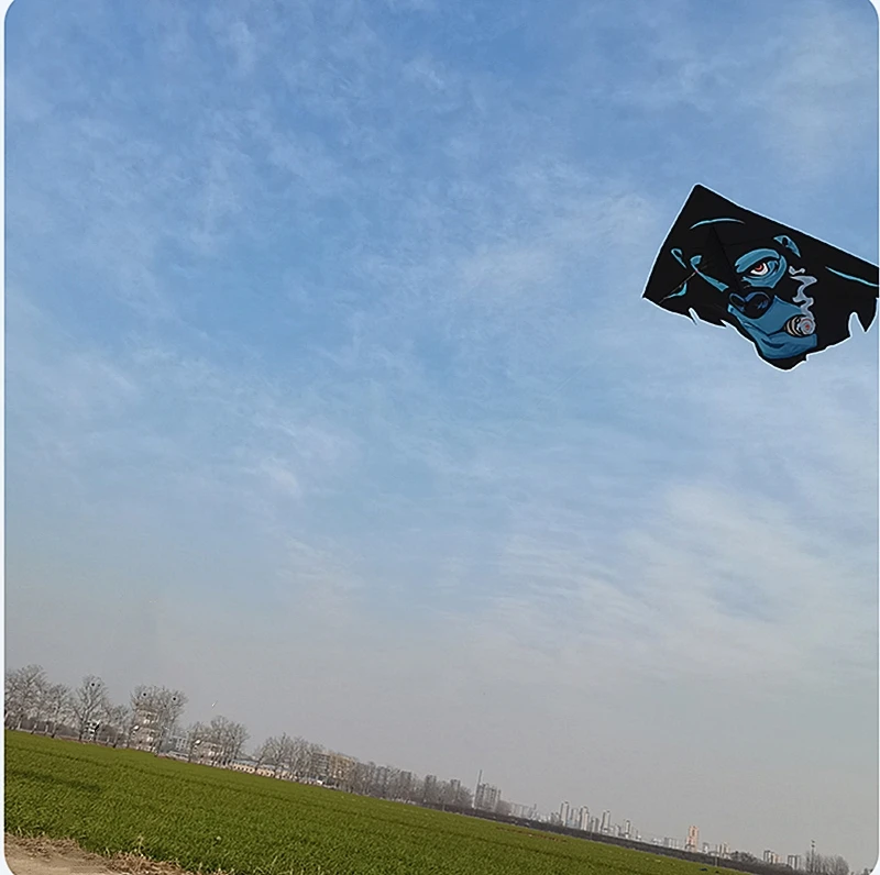 送料無料ジャイアントエイプ凧大型凧屋外のおもちゃ子供のためのドラッヘンセルフボラントランファンインフレータブル凧ワイヤレス凧揚げ