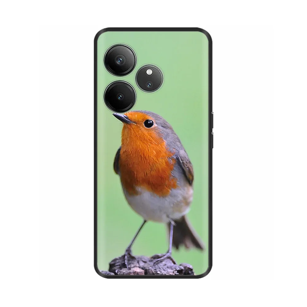 ل Realme GT 6T حافظة موضة الحلوى رسمت الغطاء الخلفي ل ممن لهم Realme GT 6 لينة بولي TPU ماتي الحالات الهاتف RealmeGT6 Fundas أكياس