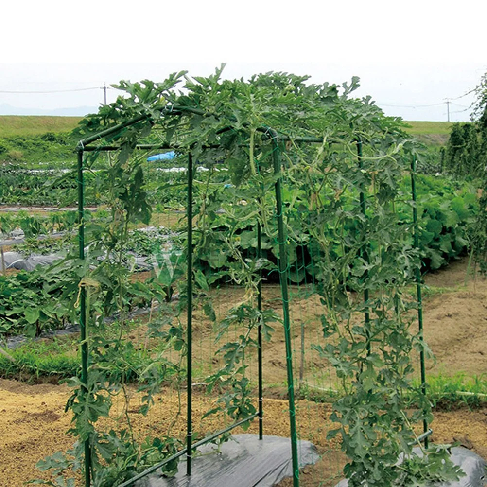 

2Pcs 1.8x1.8m Plant Climbing Network Strong Nylon Trellis Mesh for Vining Vegetables Fruits Flowers Improved Airflow Healthy