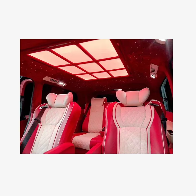 

2022 Xiamen MINI BUS luxury VIP car nine grid ceiling light van interior accessories