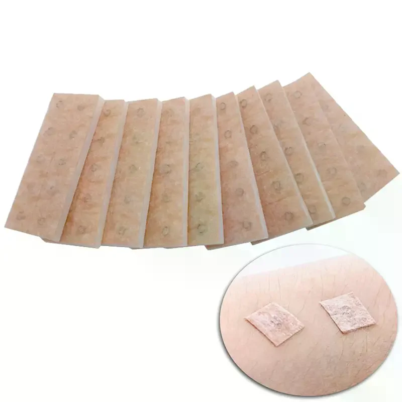100PCS 100Pcs Lifting Needle Ear Acupuncture Ear Acupuncture Massage Needle Acupuncture Pressure Needle One-Time Relaxation Ear