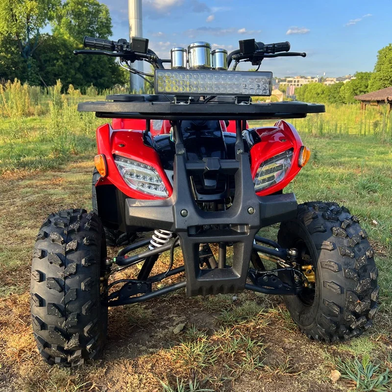 CE Certified 125CC Automatic Chain Drive 4 Wheeler Quad Bike ATV for Kids