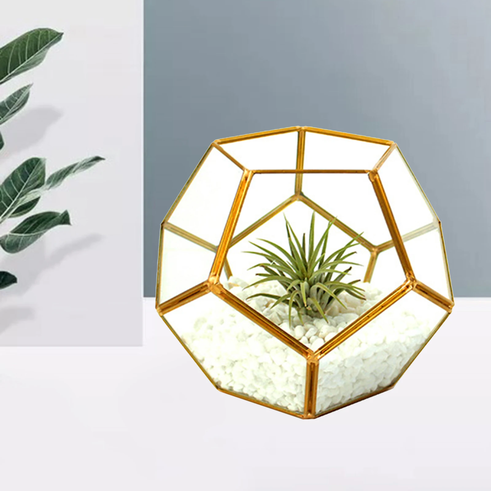 Geometric Terrarium Planter Flower Basket Garden Container Glass Display Box for Succulent Fern Moss Air Cactus Plants