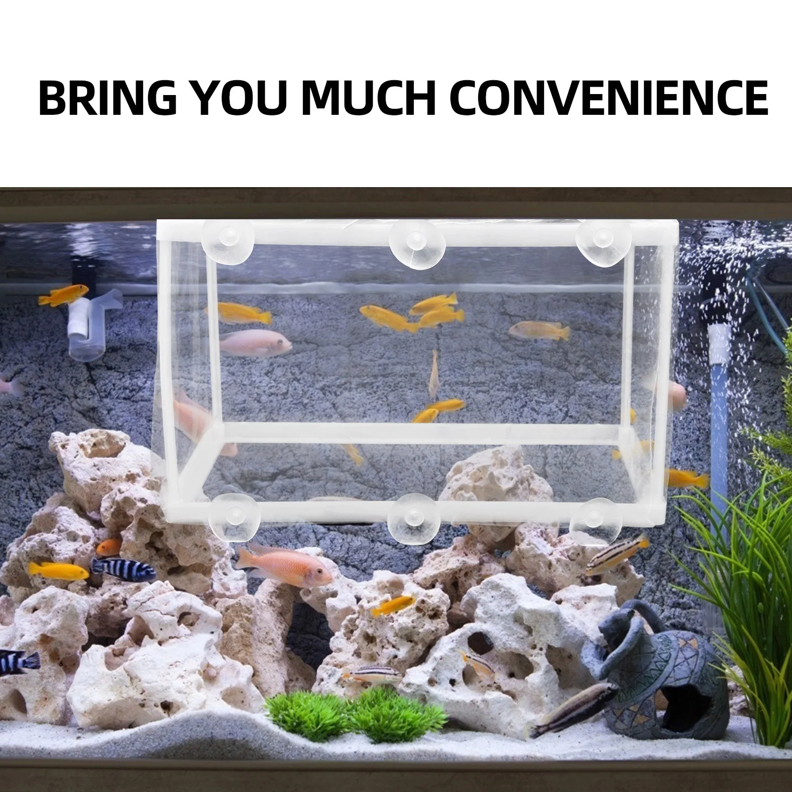 

2Pcs Fish Breeding Net Durable Floating Isolation Box for Aquarium Tank Hatchery Fish Survival Breeding Mesh Separator