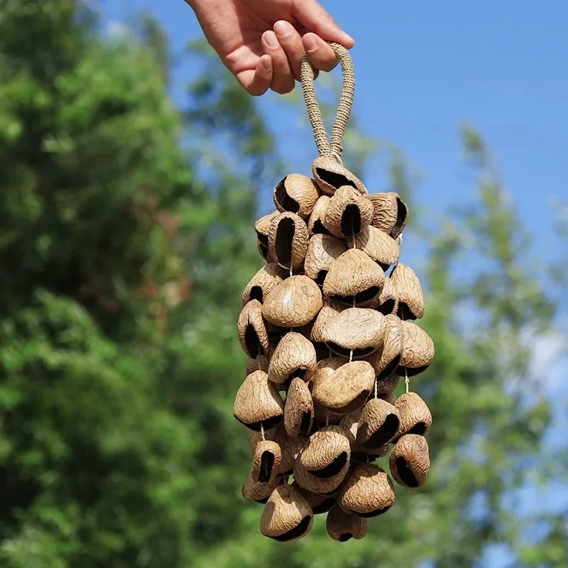 Музыкальные колокольчики из ореховой ракушки, звуковой целебный колокольчик, ветер, натуральные фруктовые ракушки, уличные колокольчики, колокольчики ручной работы, принадлежности для медитации