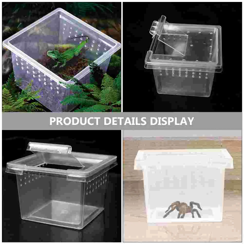 10 Pcs Acrylic Spider Enclosure Reptile Feeding Box Transparent Insect Habitat Terrarium Breeding Bins