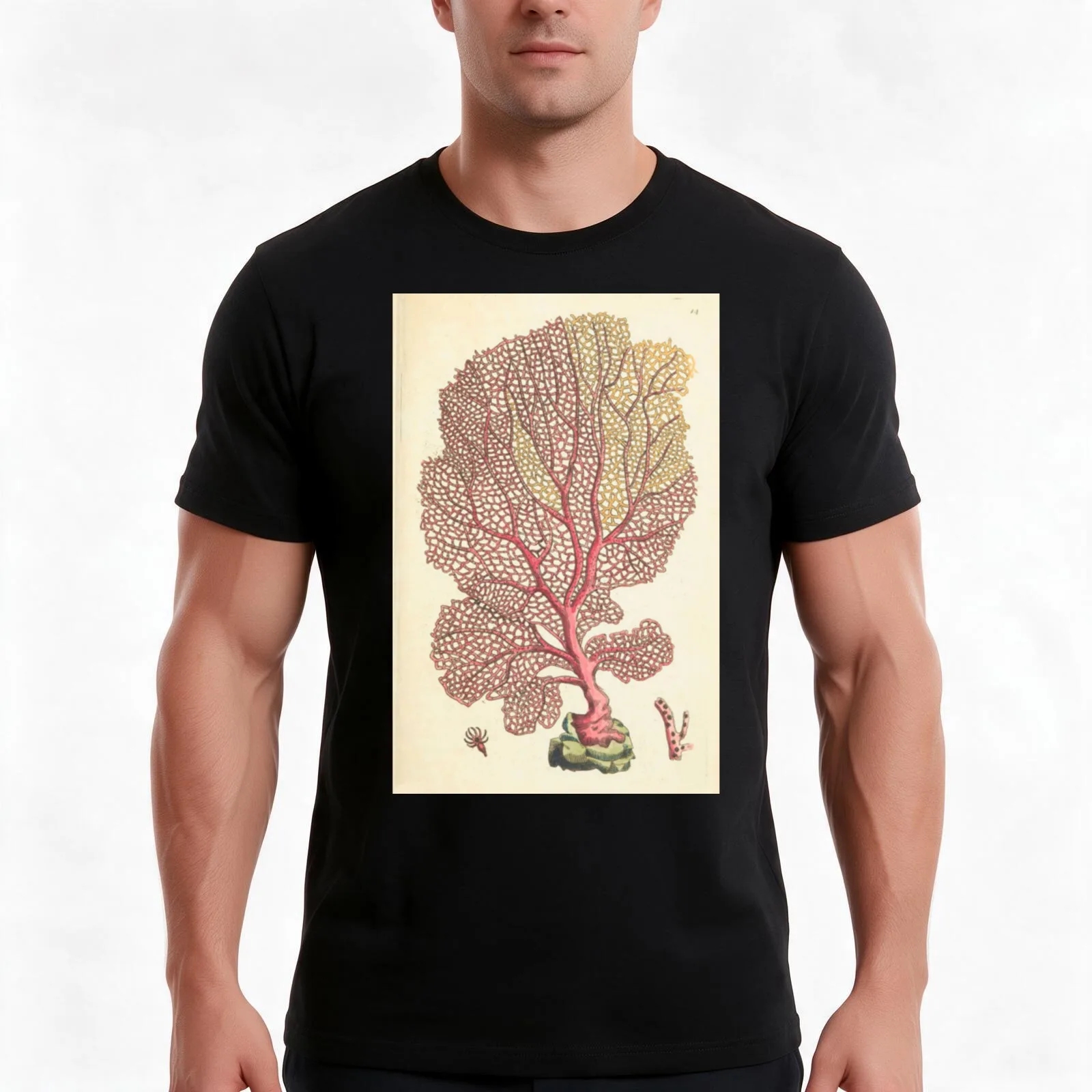 Naturalist Sea Coral T-Shirt Summer Casual Cotton Tee Oversized Streetwear Tops Vintage Graphic Print Loose Fit Short Sleeve