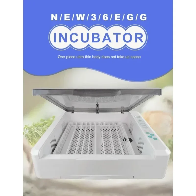 

Мини-инкубатор для яиц птицы, полностью автоматический, на 36 профессиональных цифровых яиц, многофункциональный лоток для яиц