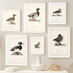 Vintage Duck Prints Rustic Mallard Duck Birds Lake Wall Art Poster Retro Nature Canvas Painting Pictures Farmhouse Room Decor