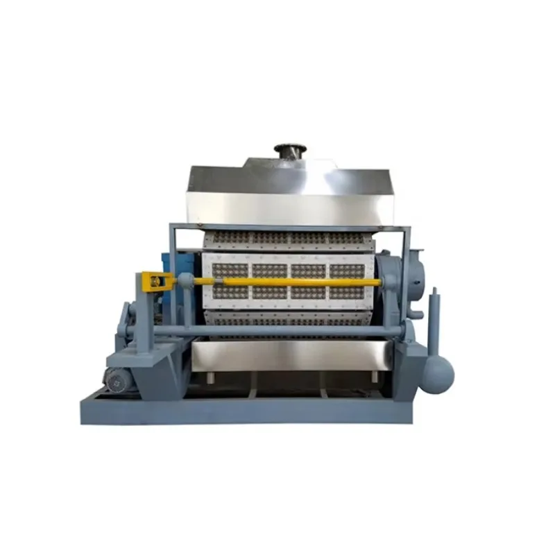 Small Egg Tray Machine High Output Energy Saving Pulp Molding Equipment For Small Scale Industrial Production Customized Power