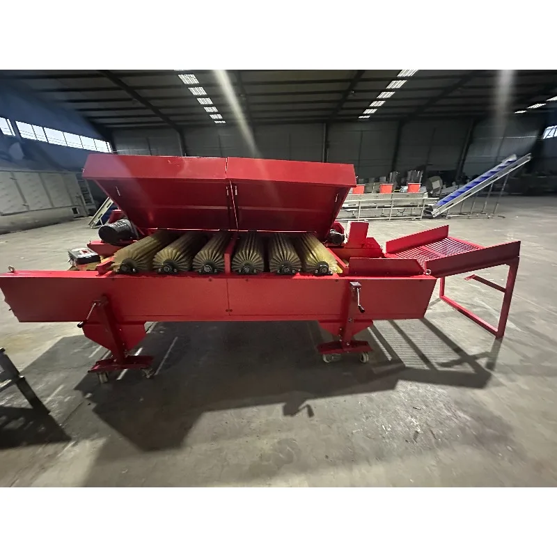 Commercial New Condition Potato Dry Cleaning Machine Fruit Vegetables Continuous Brushes Vegetable Processing Plant Farm Inclu view 4