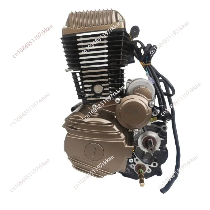 Tricycle Motorcycle Engine 150-300cc Air-Cooled & Water-Cooled Heavy-Duty Engine for Cargo Trike