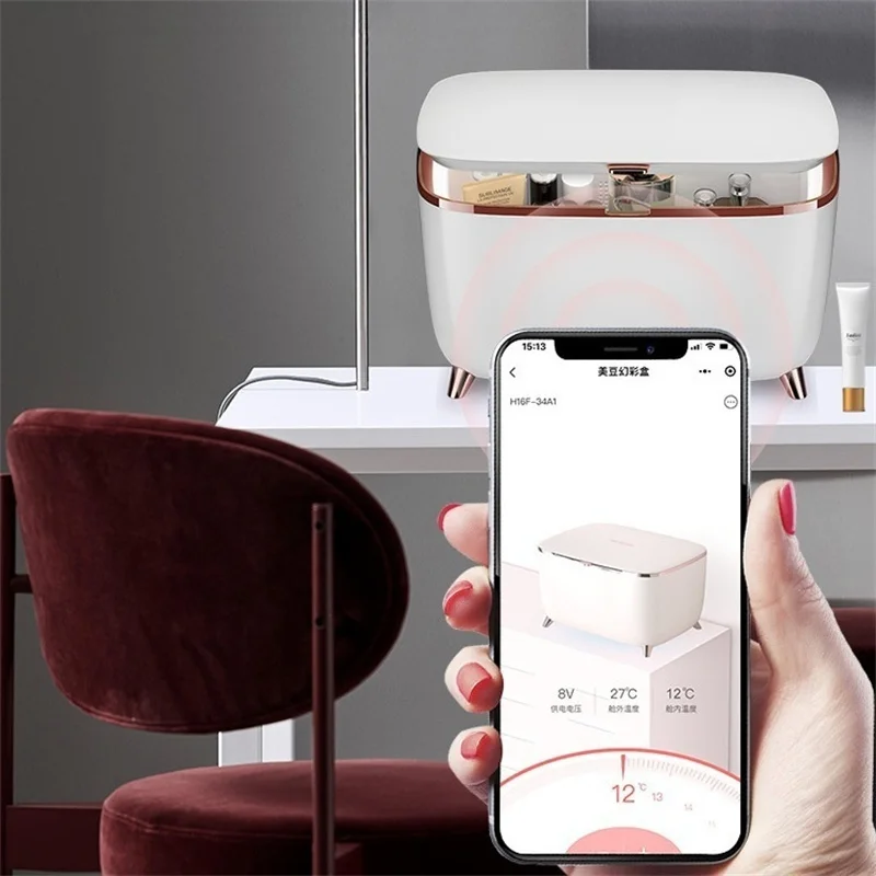 New 9L Beauty Refrigerator Silent Mini Home Cosmetics Storage with Temperature Control for Home or Car Use
