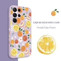 Watercolor Oranges Phone Case For Samsung Galaxy S25 S24 S23 S22 S21 S20 Ultra Plus FE S10 Note 20 ultra 10 9 Plus Cover