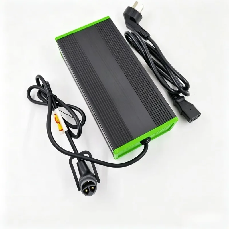 1.5 tons electric forklift charger 24V8A/48V9APTE15N special for iron and lithium