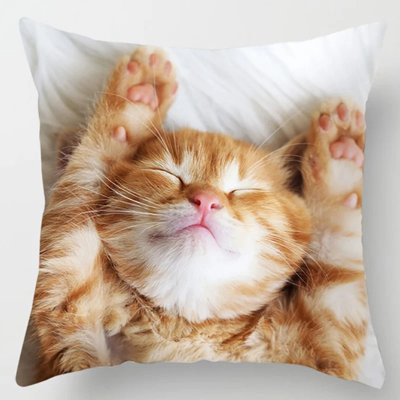 18 Inch Cat Collection Pillowcase Home and Office Decor Square