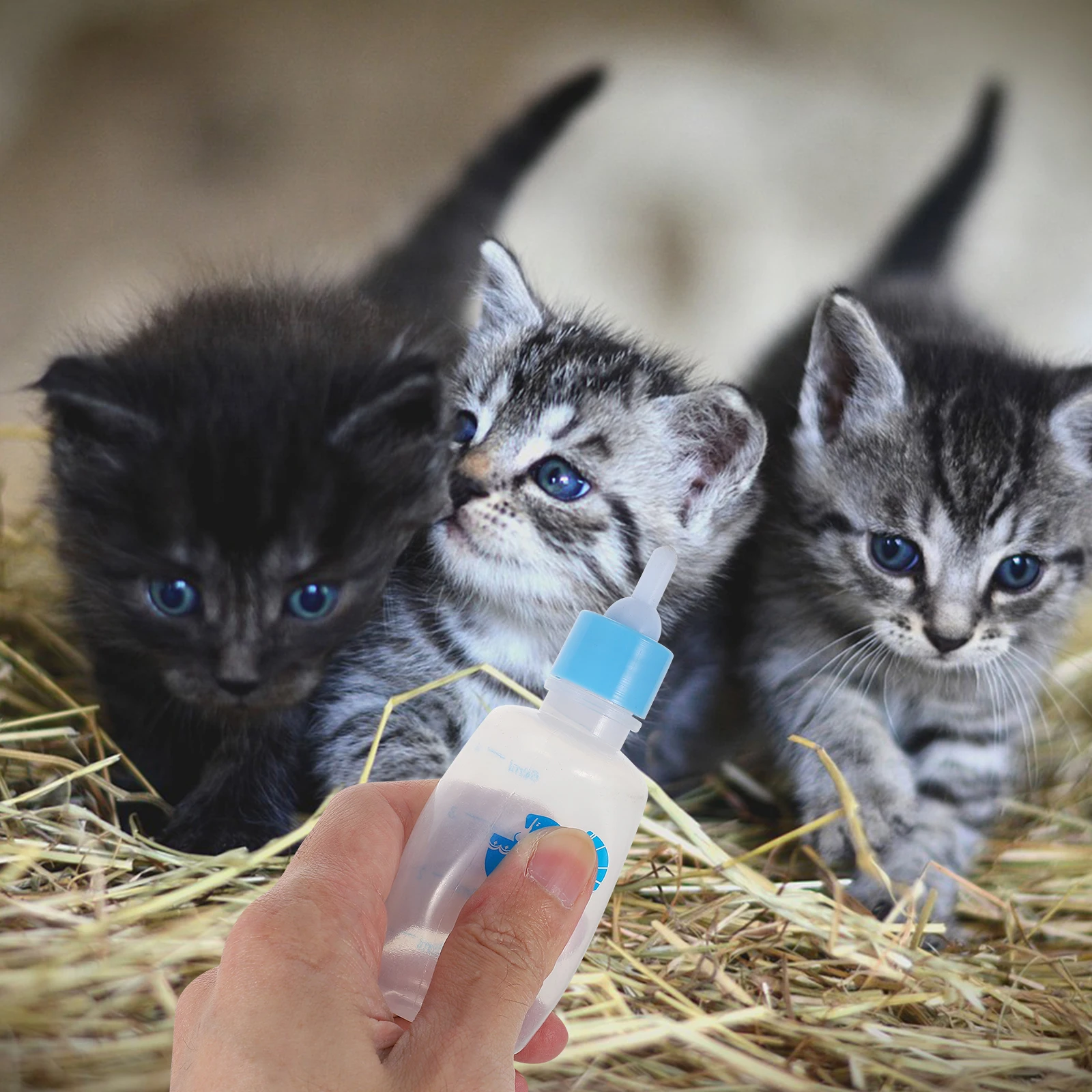 

2 Pcs Pet Bottle Feeders for Dog Puppy Dogs Drinker Puppies Nipple Kitten Cat Milk Small Nursing Bottles Dedicated Newborn