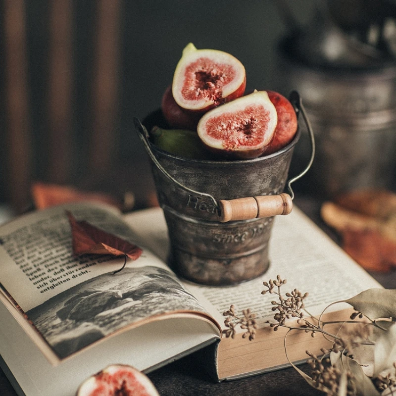 Vintage Iron Handle Bucket Metal Retro Flower Vase with English Printing Wrought Iron Food Barrel Photography Decoration
