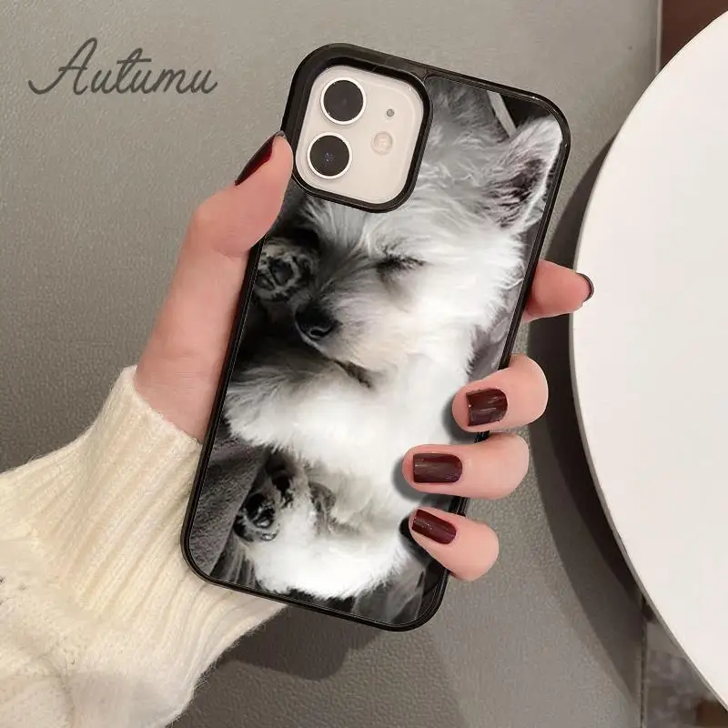 Cartoon Westie Dog Phone Case for iPhone 15 16 SE2020 11 12 13 14 Pro Max mini 6 7 8 Plus coque Fundas Shell