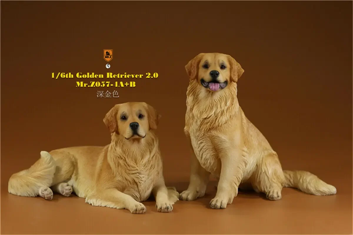 Mr.Z 1/6 Golden Retriever Figure Pet Dog Animal Model Colllector Decor Toys Animals Collection Decoration