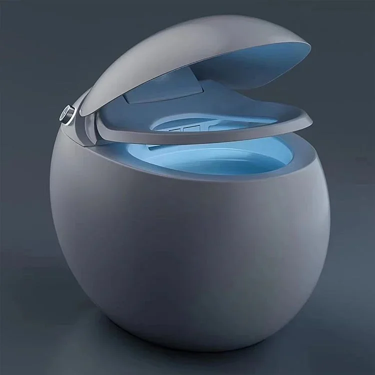 Shaped Water Closet One Piece Luxury Wc White Color Foot Flush Egg-Shaped Floor Mount Egg Shape Smart Toilet