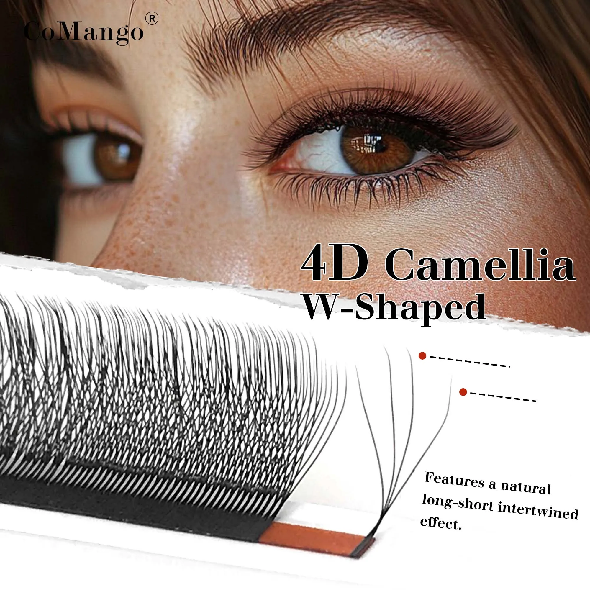 CoMango 자동 개화 동백 4D W 메가 볼륨 속눈썹 연장 푹신한 인조 속눈썹 도매 메이크업