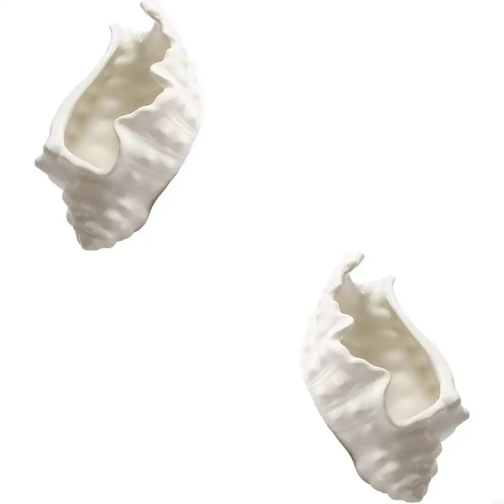 

Ceramic Jewelry Presentation Tray Unique Conch Home Arrangement Plate