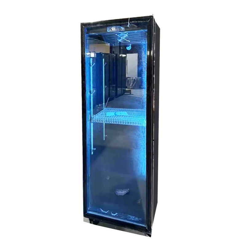 High-Light Upright Double Glass Doors Beverage Freezer LED Highlighted Single-Temperature Style for Bar Use Beer Drinks Storage