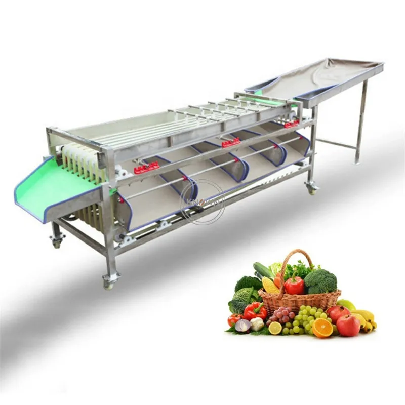 

Fruit Grader Potato Garlic Sorter Machine Nut Walnut Chestnut Sorting Grading Sweet Tomato Selecting Machine Drum Classification