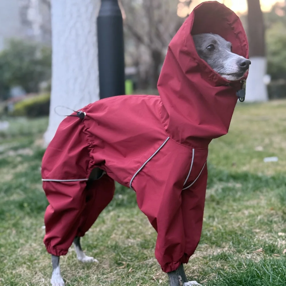 Frühling Sommer Blauer Regenmantel für Italienische Windhunde Winddichte Wasserdichte Jacke mit Rotem Reißverschluss für Whippets Reflektierender Streifenmantel – Detail 17