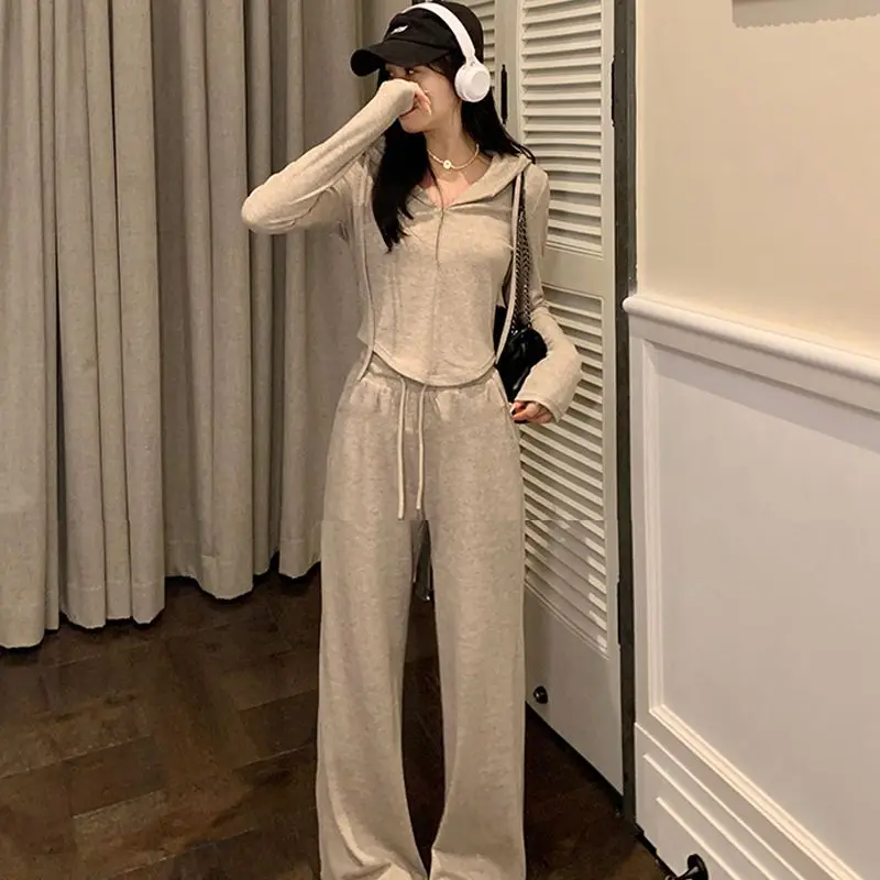Casual Popular Hooded Zipper Short Two-Piece Set Autumn Winter New Pure Color Women's Fashion Sportswear Ensemble